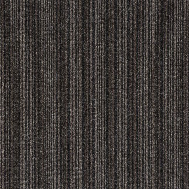 Dark Beige Stripe 21915 
