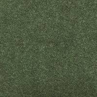 Featured Product: Rawson Carpet Felkirk Vine CM132