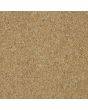 Abingdon Carpets Wilton Royal Charter Berber Deluxe Sandstone