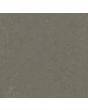 Forbo Marmoleum Solid Concrete Nebula 3723 2.5mm