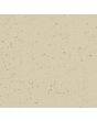 Forbo Marmoleum Solid Cocoa White Chocolate 3584 2.5mm