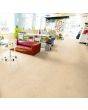 Forbo Marmoleum Marbled Real Calico 2713 2.5mm