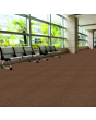 JHS Fast Track Cord Carpet Walnut 11