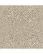 Abingdon Carpets Stainfree Olympus Sandstorm