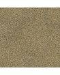 Abingdon Carpets Stainfree Tweed Cool Beige