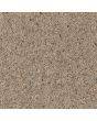 Cormar Carpet Co Natural Berber Twist Elite Mohair