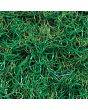 Rawson Carpet Patio Grass SHEET PATS05