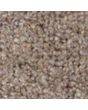 JHS New Elford Twist Super Carpet Cashew