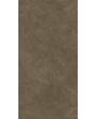 Paragon Rapport 2.5mm Stone Plank Seasoned Concrete 457.2 X 914.4 mm
