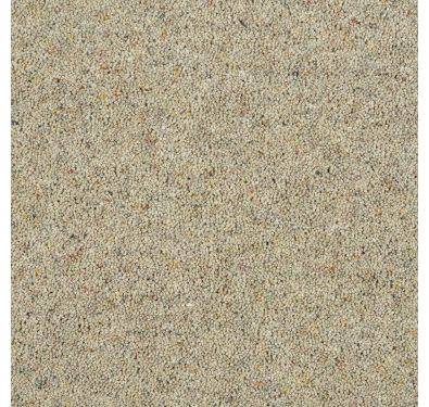 Abingdon Carpet Wilton Royal Charter Berber Deluxe Flax 