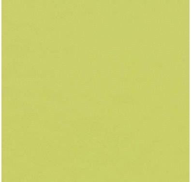 Forbo Marmoleum Furniture Linoleum Desktop Spring Green 4182 2mm