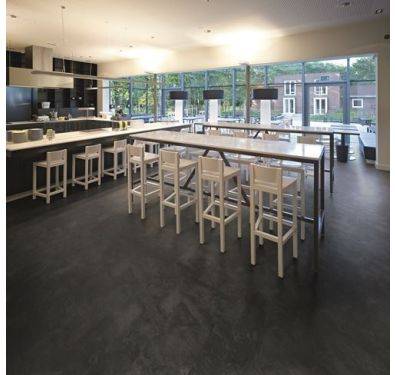 Polyflor Expona Commercial India Ink Slate 5056