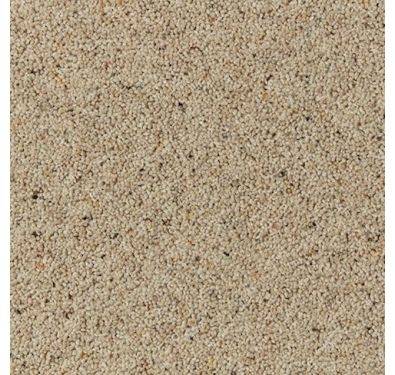 Cormar Carpet Co Natural Berber Twist Elite Seed