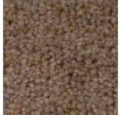 JHS Haywood Twist Standard Carpet Pecan