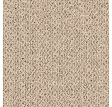 Cormar Carpet Co Primo Textures Tapestry