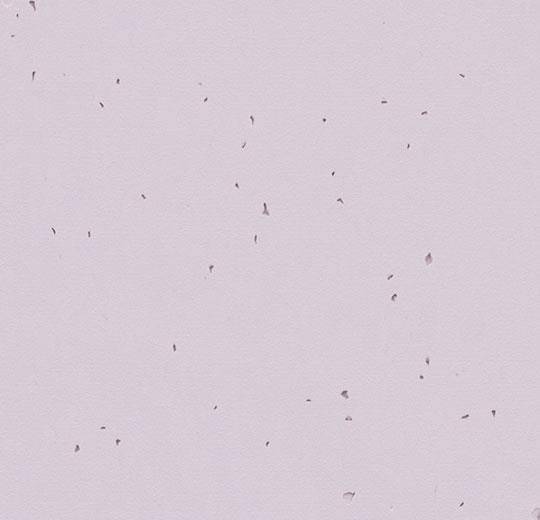 Forbo Sphera Homogeneous Energetic Lilac 50234
