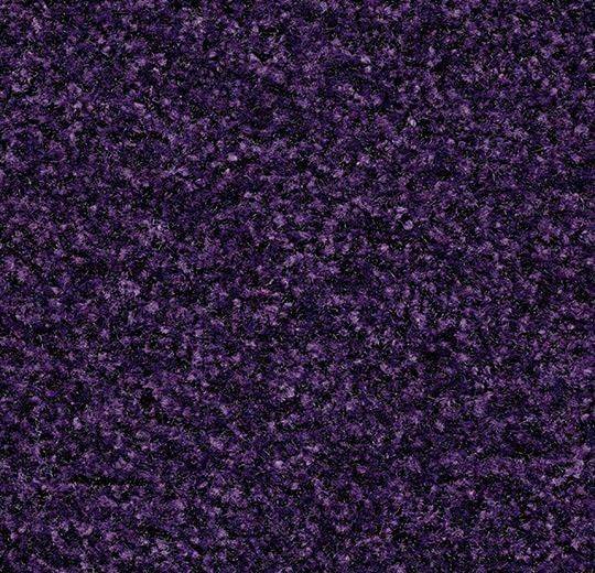 Forbo Entrance Coral Brush Royal Purple 5709 1.55m sheet