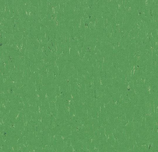 Forbo Marmoleum Solid Piano Nettle Green 3647 2.5mm
