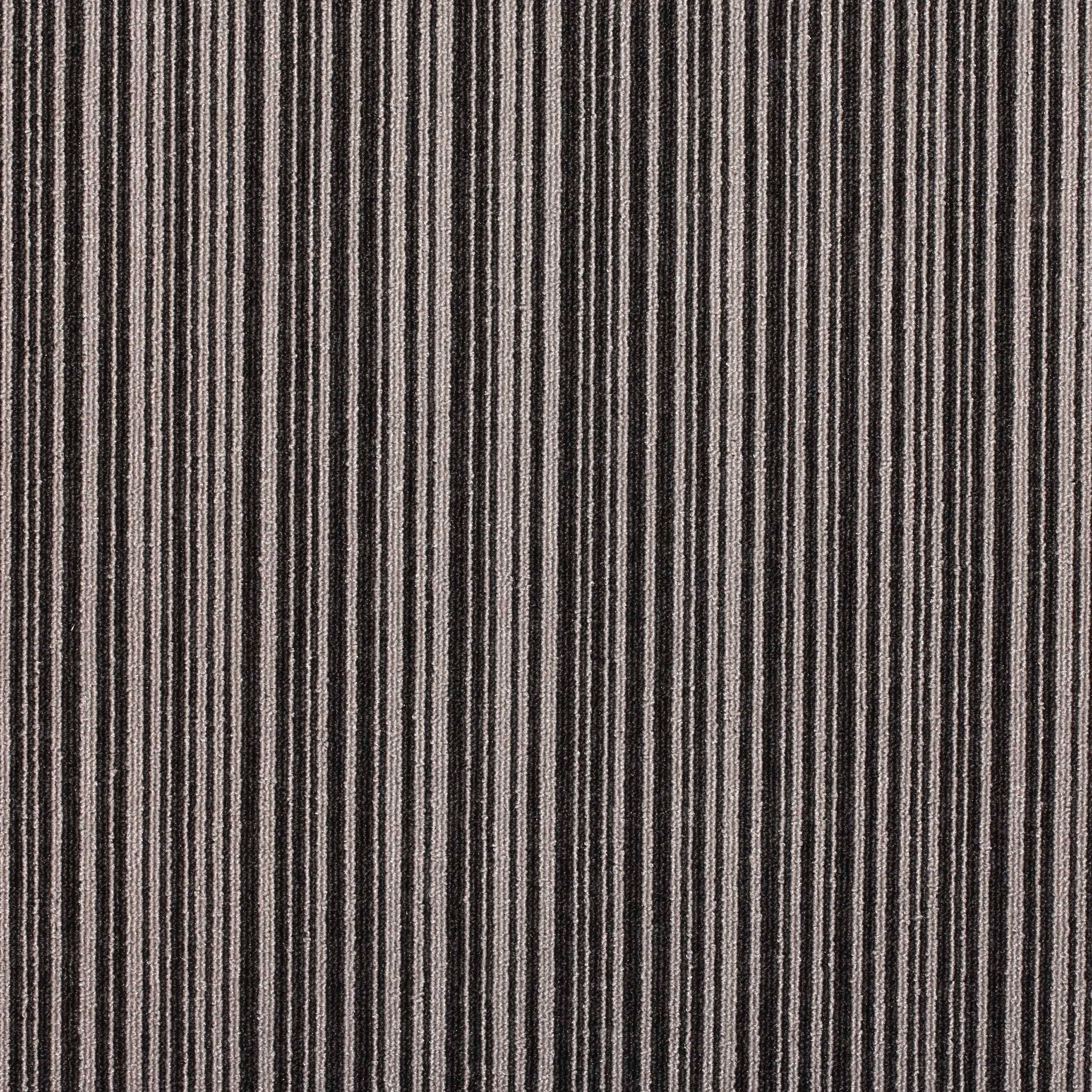 Paragon Codec Carpet Tile Binary
