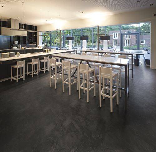 Polyflor Expona Commercial India Ink Slate 5056
