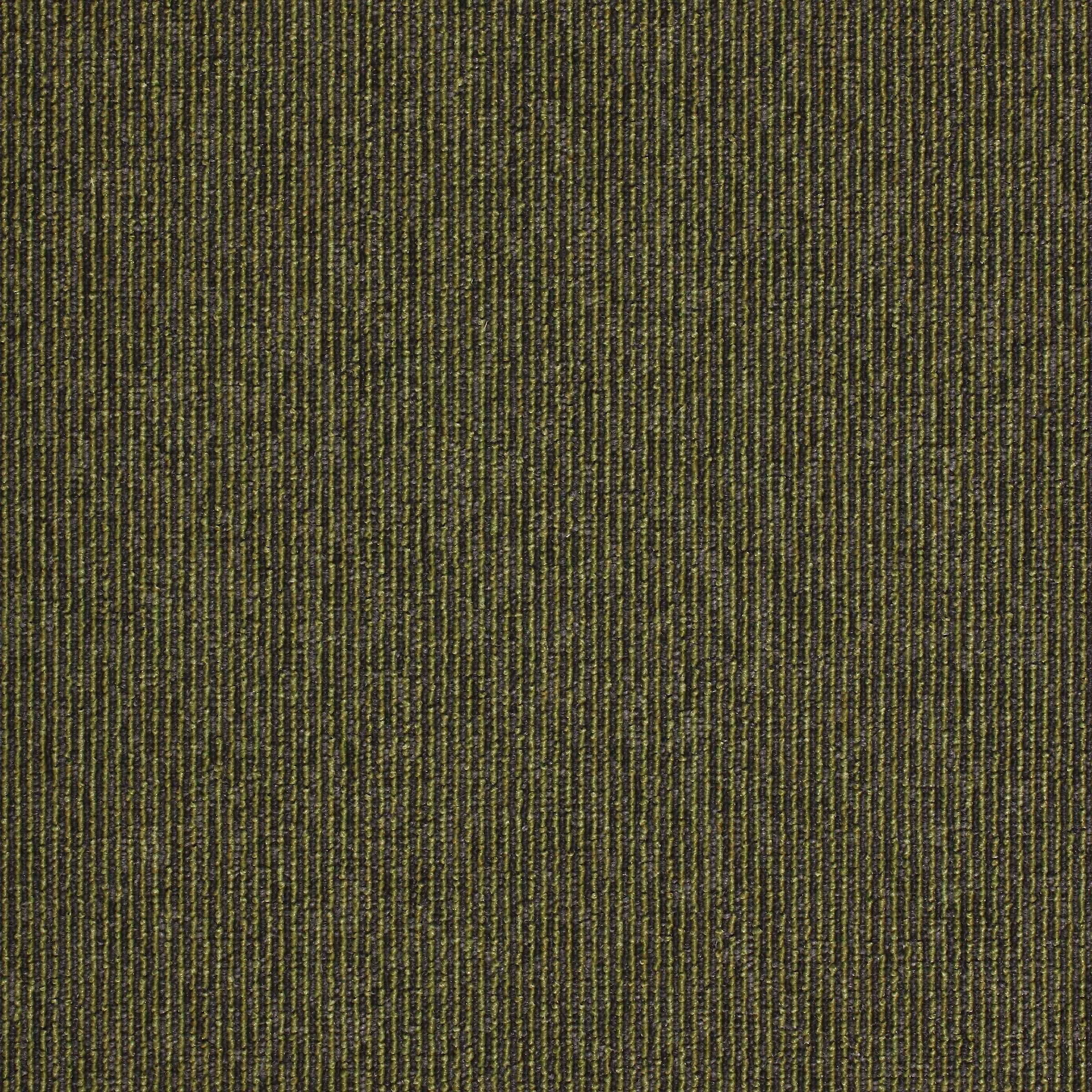 Paragon Macaw Stripe Carpet Tile Lime - Quartz