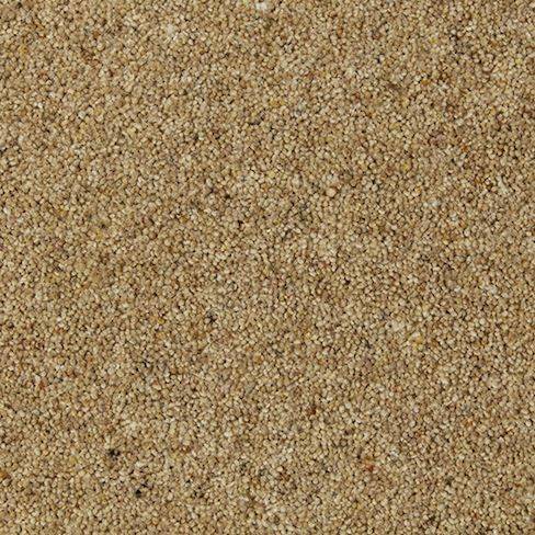 Cormar Carpet Co Natural Berber Twist Deluxe Marigold