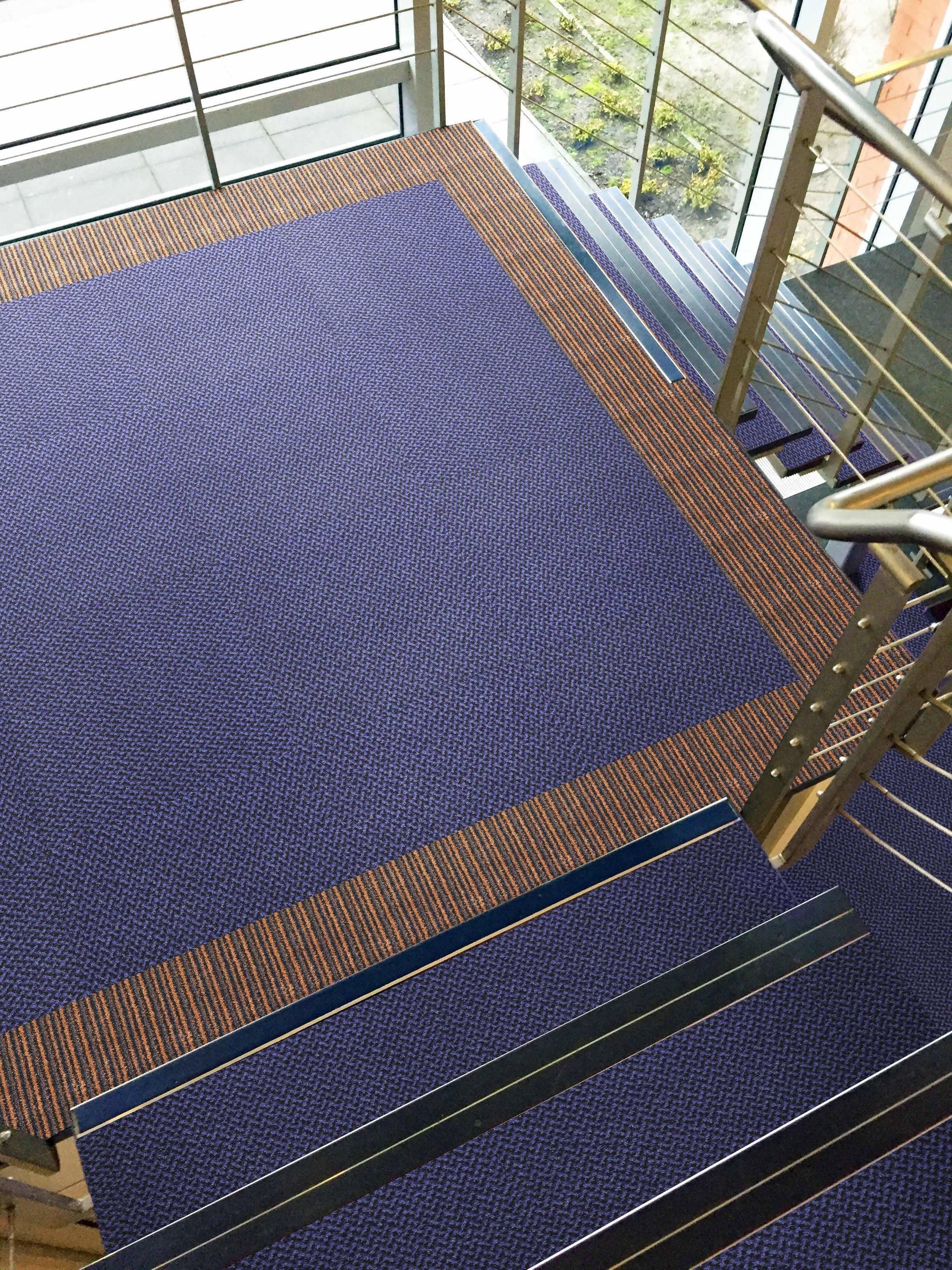 Paragon Premier Carpet Dark Blue