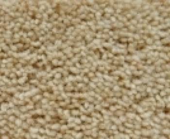 JHS Haywood Twist Luxury Carpet Straw
