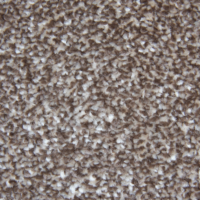 Abingdon Carpets Stainfree Ultra Chateau